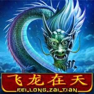 Fei Long Zai Tian™
